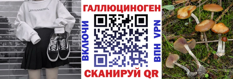 Галлюциногенные грибы Cubensis  ОМГ ОМГ маркетплейс  Елец 